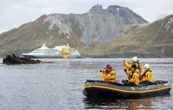 South Georgia and Antarctic Peninsula: Penguin Safari
