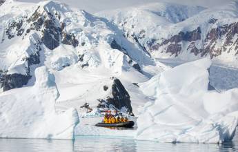 South Georgia and Antarctic Peninsula: Penguin Safari