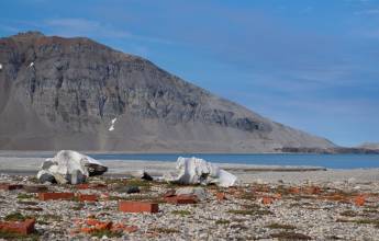 Arctic Saga: Spitsbergen, Faroes & Jan Mayen