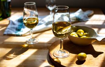 Sherry wine tasting Andalusia, Spain Jerez