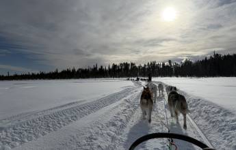 Swedish Lapland Winter Adventure