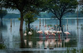 Cycling Through Rajasthan