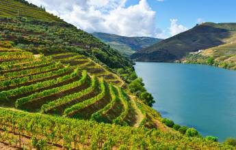 Cycling in the Douro Valley
