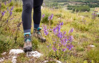 Dordogne Self-Guided Activities