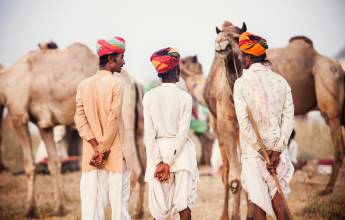 Cycling Through Rajasthan
