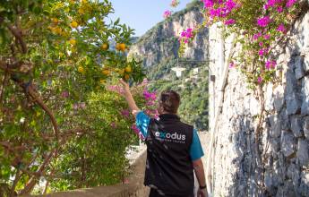 Highlights of the Amalfi Coast