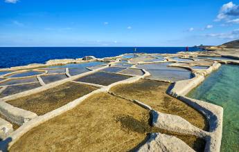 Salt pans,Gozo