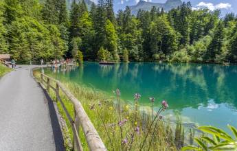 View of Blausee