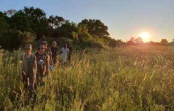 Botswana & Namibia: Delta & Dunes