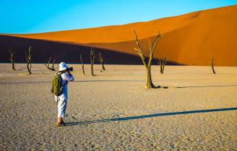 Botswana & Namibia: Delta & Dunes