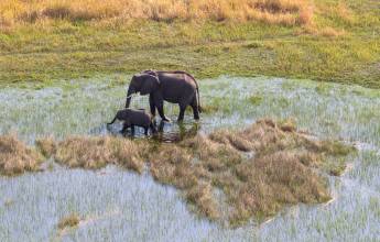 Botswana & Namibia: Delta & Dunes