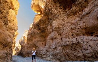 Botswana & Namibia: Delta & Dunes