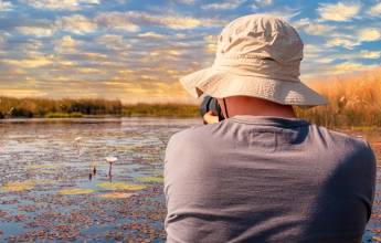 Botswana & Namibia: Delta & Dunes