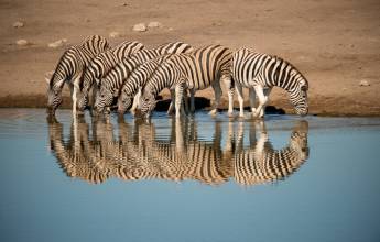 Botswana & Namibia: Delta & Dunes