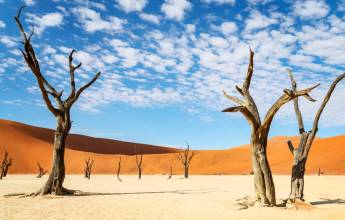 Botswana & Namibia: Delta & Dunes