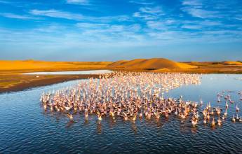 Botswana & Namibia: Delta & Dunes