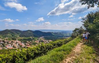 Walk The Prosecco Hills & Hidden Venice