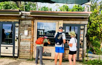 Walk The Prosecco Hills & Hidden Venice