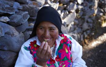 Inca Trail & the Amazon Rainforest