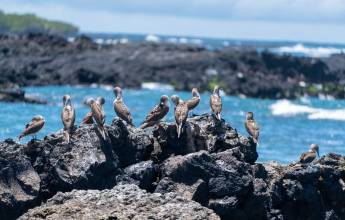 Galapagos Walking Adventure