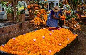 Discover Mexico – Day of the Dead (Oaxaca)