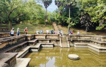 Sri Lankan Highlights