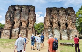 Sri Lankan Highlights