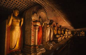 Sri Lankan Highlights