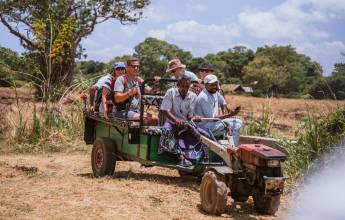 Sri Lankan Highlights