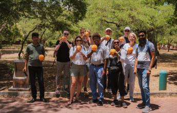 Sri Lankan Highlights