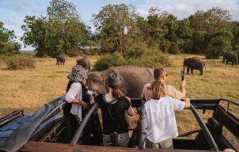 Sri Lankan Highlights