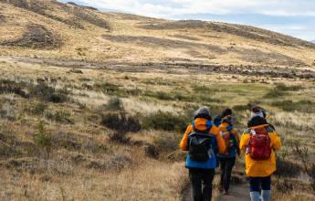 Essential Patagonia: Fjords & Torres del Paine