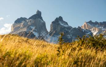 Essential Patagonia: Fjords & Torres del Paine