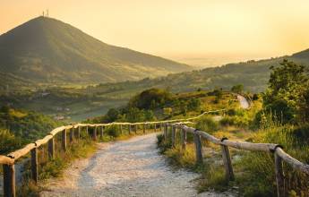 Walking in the Venetian Hills