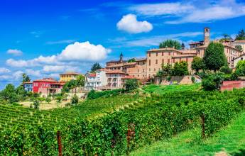 Barolo Gastronomic Cycling by E-Bike