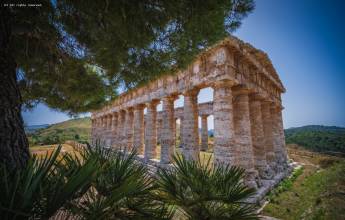 Segesta