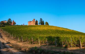The castle of Grinzane Cavour