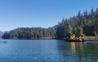 Whales & Bears of British Columbia