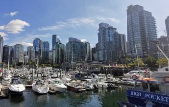Whales & Bears of British Columbia