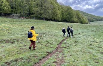 Italian Apennines: Walks & Wildlife
