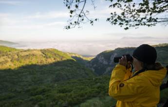 Italian Apennines: Walks & Wildlife