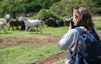 Italian Apennines: Walks & Wildlife