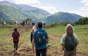 Italian Apennines: Walks & Wildlife