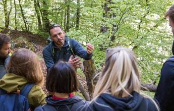 Italian Apennines: Walks & Wildlife