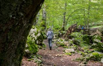 Italian Apennines: Walks & Wildlife