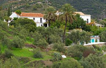 White Villages of Andalucia Walk