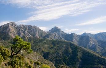 White Villages of Andalucia Walk