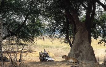 Wildlife & Wilderness of Botswana