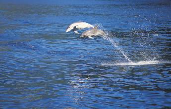 Discover New Zealand
