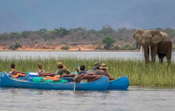 Zambezi Canoe Safari
